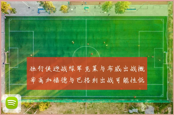 独行侠迎战绿军克莱与布威出战概率高加福德与巴格利出战可能性低